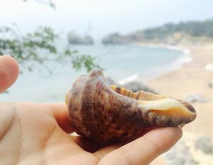 Tử vi Thứ 7 của 12 cung hoàng đạo (04/06/2016)