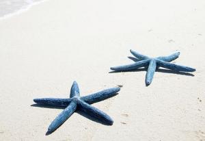 Tử vi Thứ 6 của 12 cung hoàng đạo (01/07/2016)