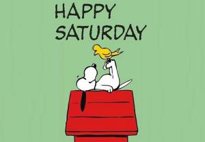 Tử vi Thứ 7 của 12 cung hoàng đạo (11/06/2016)