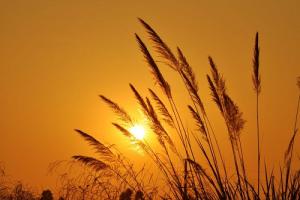 Xem ngày tốt xấu trị bách bệnh tiêu tan: Chủ Nhật 3/7/2016