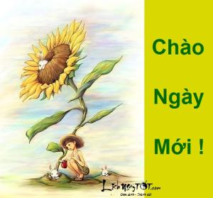 Tử vi thứ 6 của 12 cung hoàng đạo (22/07/2016)