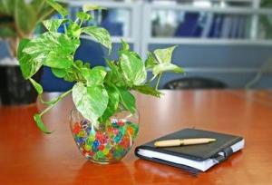 Xem ngày tốt xấu trị bách bệnh tiêu tan: Thứ Tư 6/7/2016