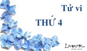 Tử vi thứ Tư ngày 13/7/2016 của 12 con giáp