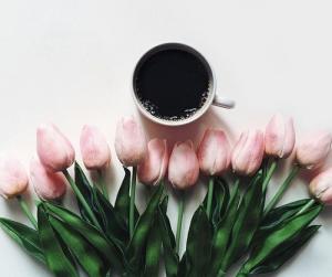 Tử vi Thứ 7 của 12 cung hoàng đạo (16/07/2016)