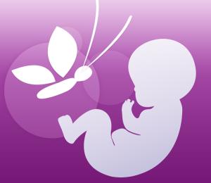 Xem ngày tốt xấu đón lành tránh dữ cho thai phụ: Tuần từ 18-24/7/2016