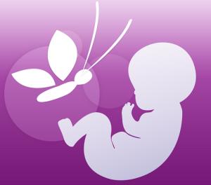 Xem ngày tốt xấu đón lành tránh dữ cho thai phụ: Tuần từ 22-28/8/2016