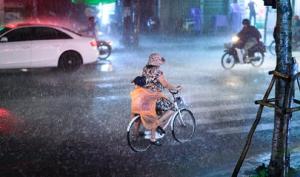 Những bức ảnh ấm lòng mùa mưa bão