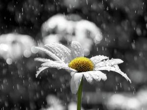 Tử vi Thứ 4 ngày 24/8/2016 của 12 cung hoàng đạo