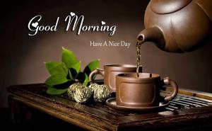 Tử vi Thứ 6 của 12 cung hoàng đạo (5/8/2016)