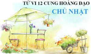Tử vi Chủ Nhật ngày 4/9/2016 của 12 cung hoàng đạo