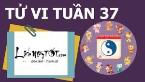 Tử vi tuần mới từ 5-11/9/2016 của 12 con giáp