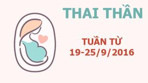 Xem ngày tốt xấu đón lành tránh dữ cho thai phụ: Tuần từ 19-25/9/2016