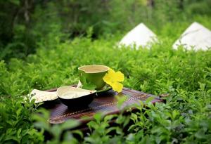 Xem ngày tốt xấu trị bách bệnh tiêu tan: Chủ Nhật 25/9/2016