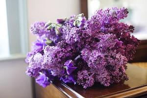 Tử vi thứ 6 ngày 23/9/2016 của 12 cung hoàng đạo