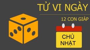 Tử vi Chủ Nhật ngày 25/09/2016 của 12 con giáp