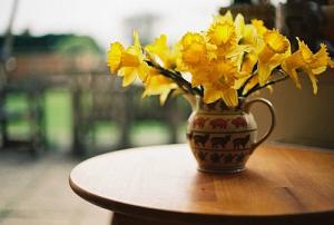 Tử vi thứ 7 ngày 24/9/2016 của 12 cung hoàng đạo