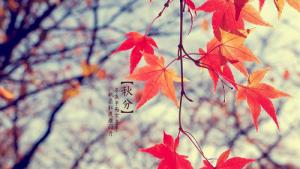 Tuyệt chiêu phong thủy làm chủ vận mệnh trong tiết Thu Phân