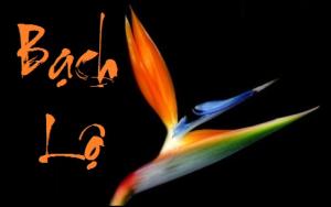 Xem ngày tốt xấu trị bách bệnh tiêu tan: Thứ Bảy 10/09/2016