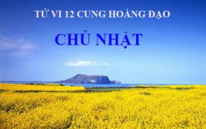 Tử vi Chủ Nhật ngày 11/9/2016 của 12 cung hoàng đạo