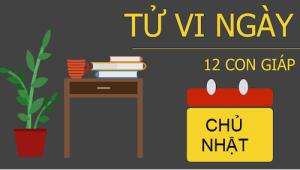 Tử vi Chủ Nhật ngày 22/1/2017 của 12 con giáp