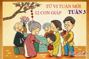 Tử vi tuần mới từ 16/1 - 22/1/2017 của 12 con giáp