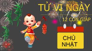Tử vi Chủ Nhật ngày 29/1/2017 của 12 con giáp