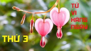 Tử vi thứ 3 ngày 17/1/2017 của 12 cung hoàng đạo