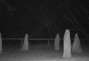 Bật mí danh sách những thứ khiến ma quỷ "sợ chết khiếp"