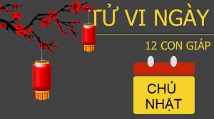 Tử vi Chủ Nhật ngày 5/2/2017 của 12 con giáp