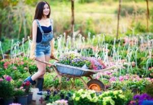 Tử vi thứ 4 ngày 25/1/2017 của 12 cung hoàng đạo