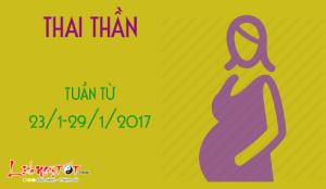 Xem ngày tốt xấu đón lành tránh dữ cho thai phụ: Tuần từ 23-29/1/2017