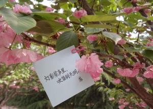 Tử vi thứ 2 ngày 6/2/2017 của 12 cung hoàng đạo