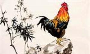 Năm Đinh Dậu lộc may, người tuổi Gà khó bại