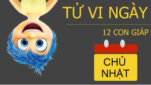 Tử vi Chủ Nhật ngày 08/01/2017 của 12 con giáp