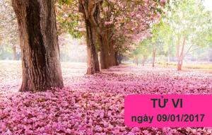 Tử vi thứ 2 ngày 9/1/2017 của 12 cung hoàng đạo