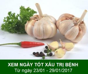 Xem ngày tốt xấu trị bách bệnh tiêu tan: Tuần từ 23/1 đến 29/1/2017 (phần 2)