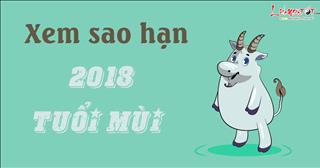 Xem sao hạn năm 2018 cho tuổi Mùi: Ất Mùi, Đinh Mùi, Kỷ Mùi, Tân Mùi, Quý Mùi