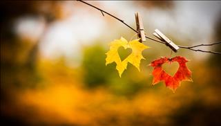 Tử vi thứ 4 ngày 25/10/2017 của 12 con giáp