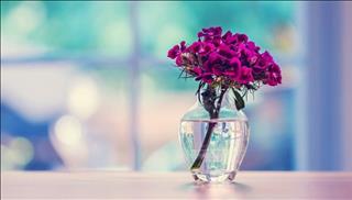 Tử vi thứ 7 ngày 21/10/2017 của 12 cung hoàng đạo