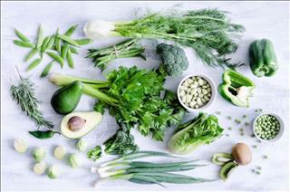 Tử vi Thứ 5 ngày 12/10/2017 của 12 con giáp