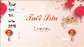 Chọn TUỔI XÔNG NHÀ 2018 cho người tuổi Sửu hóa hung thành cát