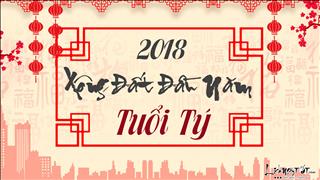 Chọn TUỔI XÔNG NHÀ 2018 cho người tuổi Tý dễ phát tài phát lộc