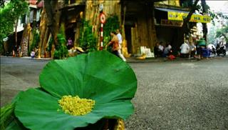 Tử vi thứ 4 ngày 8/11/2017 của 12 con giáp