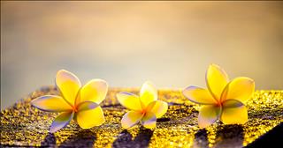 Lời Phật dạy: “Người chết có thể mang theo thứ gì?