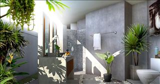 Người tuổi Dần trồng cây gì hợp mệnh để Thần tài chạy ào ào vào nhà?