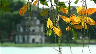 Tử vi thứ 6 ngày 17/11/2017 của 12 con giáp