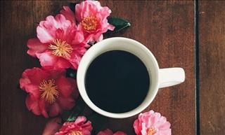 Tử vi Chủ nhật ngày 3/12/2017 của 12 con giáp