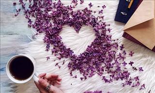 Tử vi Thứ 5 ngày 30/11/2017 của 12 con giáp