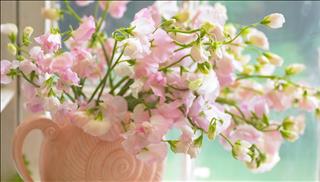 Tử vi thứ 5 ngày 23/11/2017 của 12 cung hoàng đạo