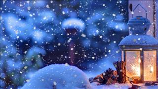 Tử vi thứ 2 ngày 27/11/2017 của 12 con giáp